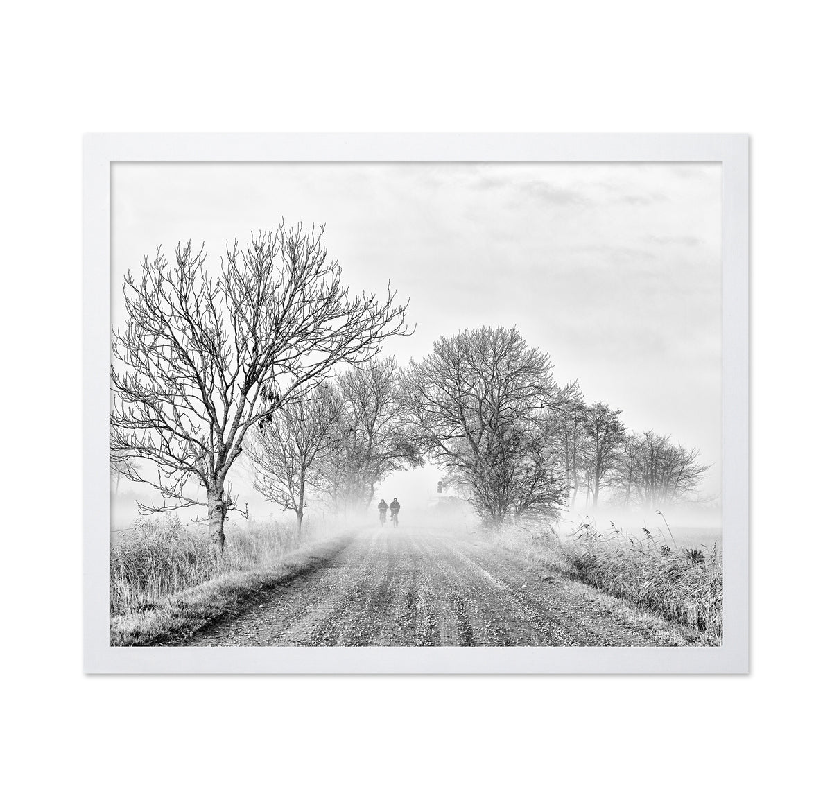 November Fog