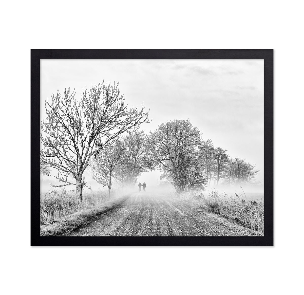 November Fog