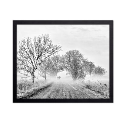 November Fog