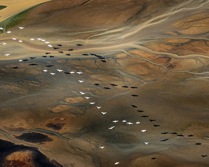 Mountains and Rivers