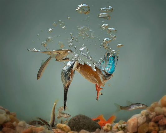 Fisherman