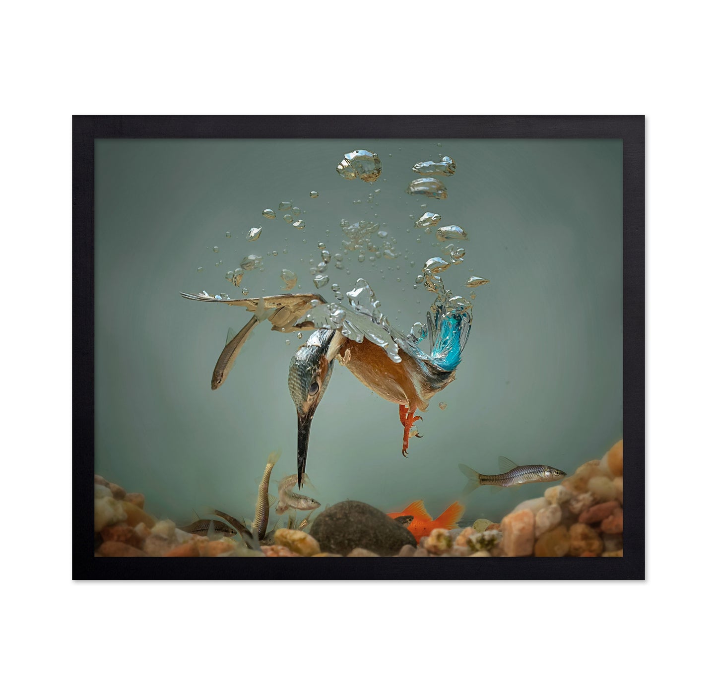 Fisherman