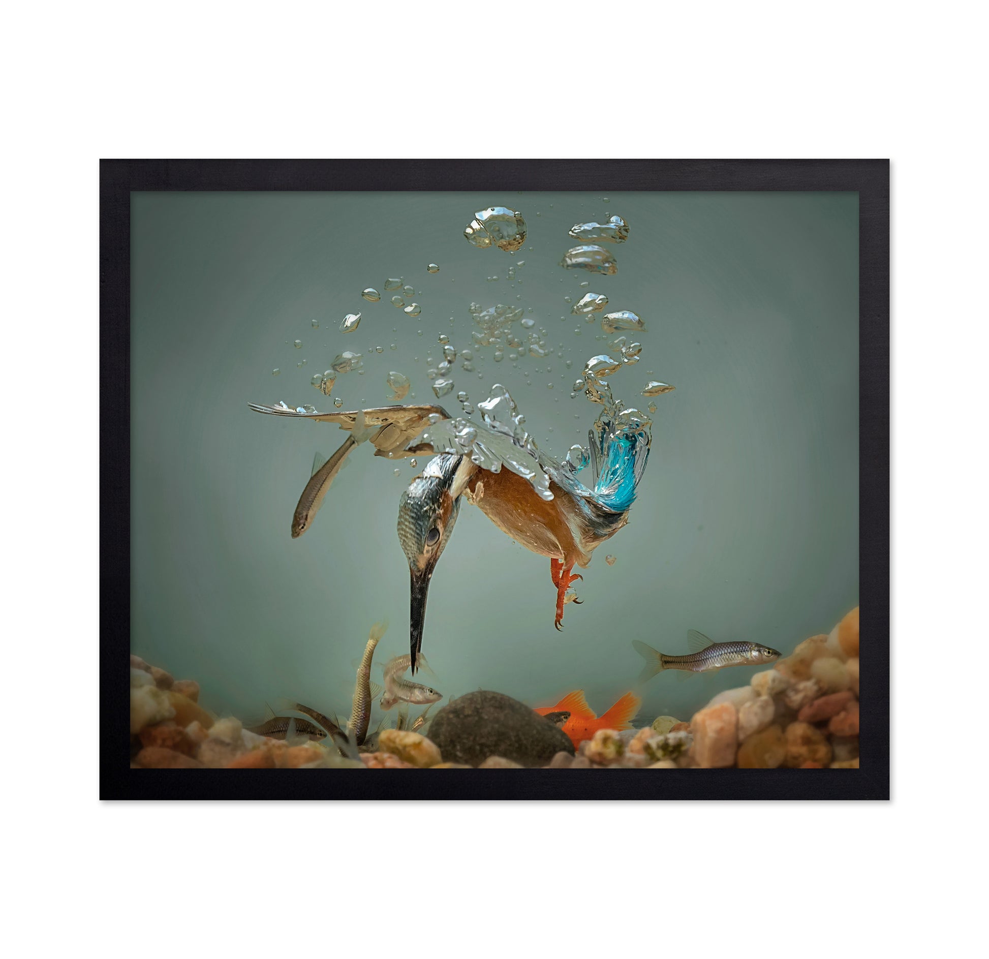 Fisherman