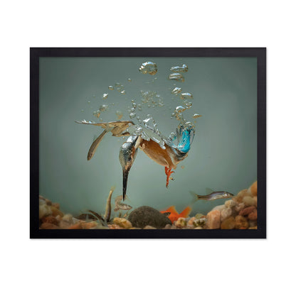 Fisherman