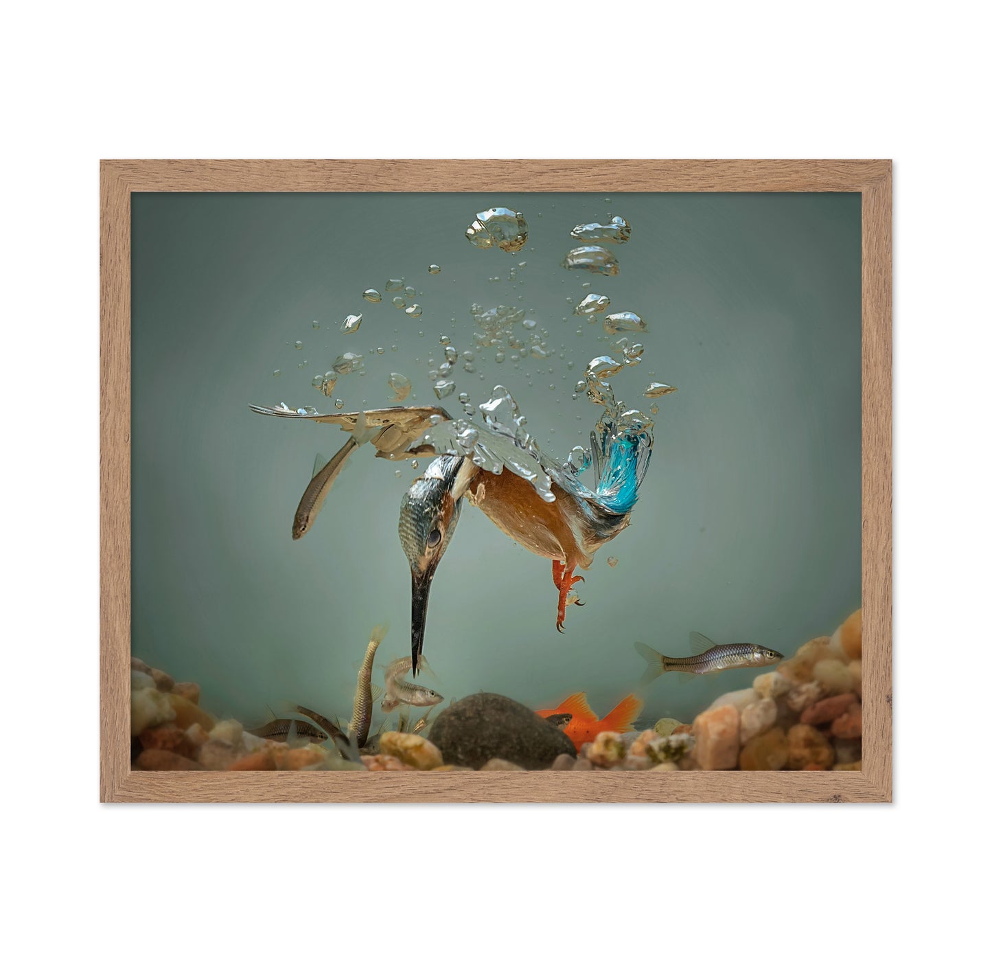 Fisherman