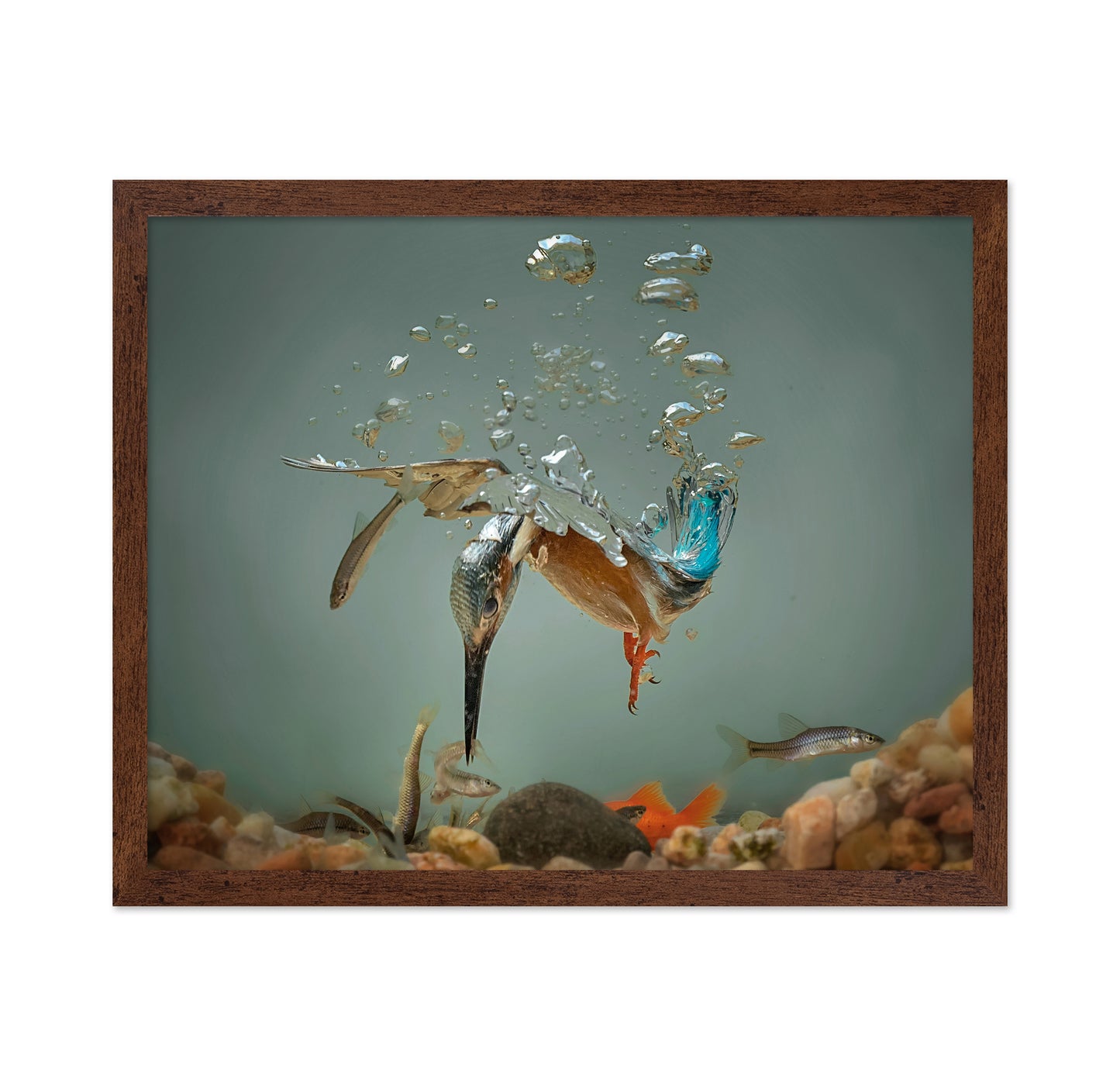 Fisherman