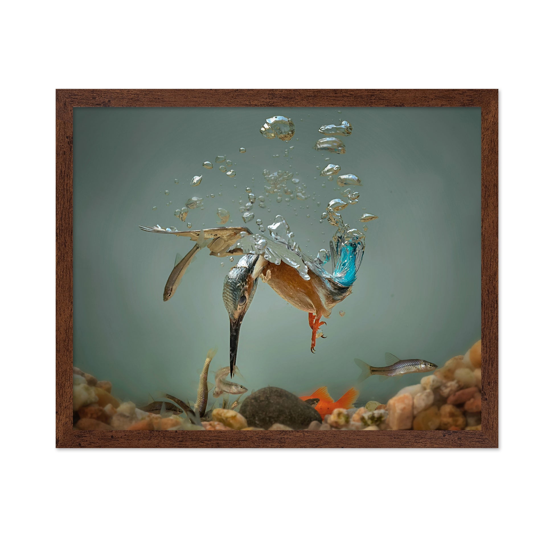 Fisherman