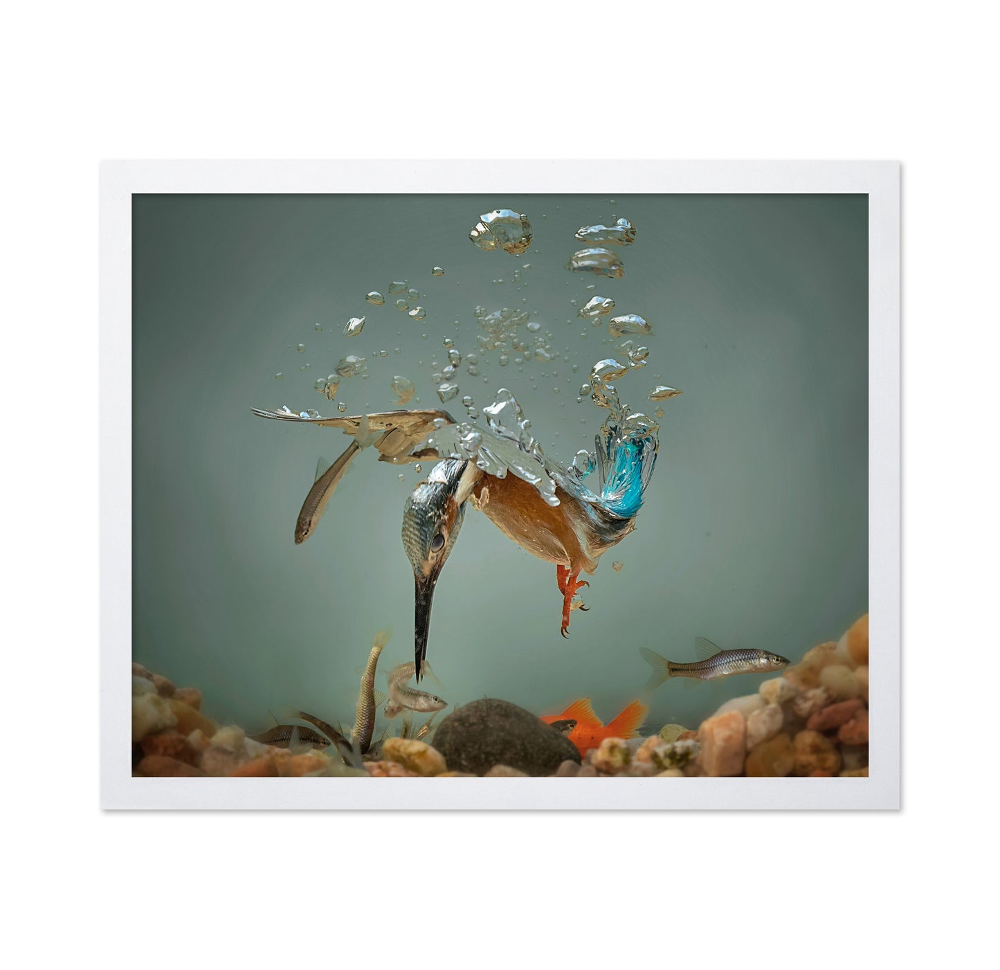Fisherman