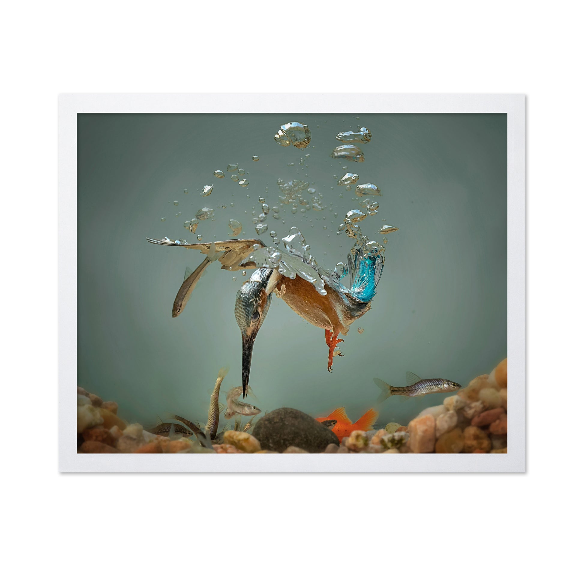 Fisherman