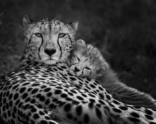 Peaceful Moment