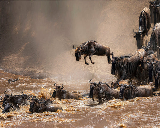 Crossing Masa River