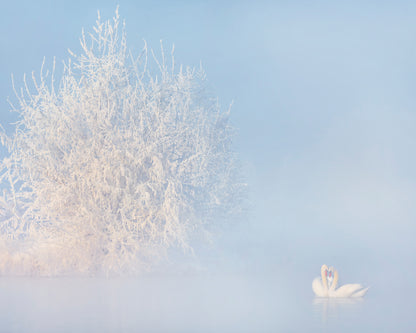 Love Story in the Winter