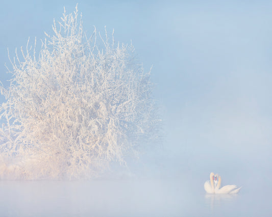 Love Story in the Winter