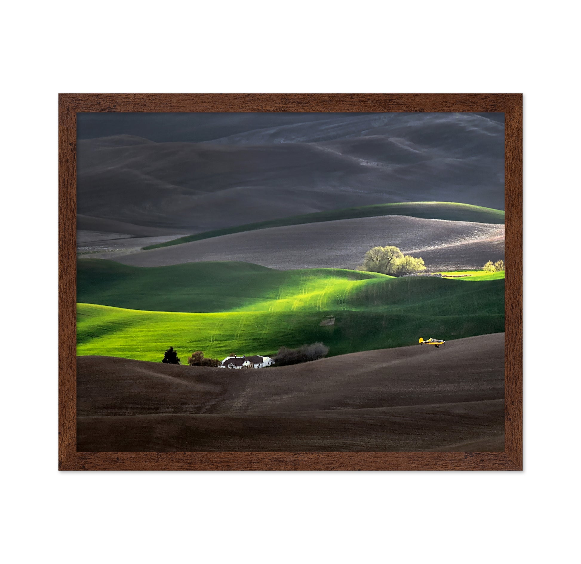 Rolling Hills of the Palouse