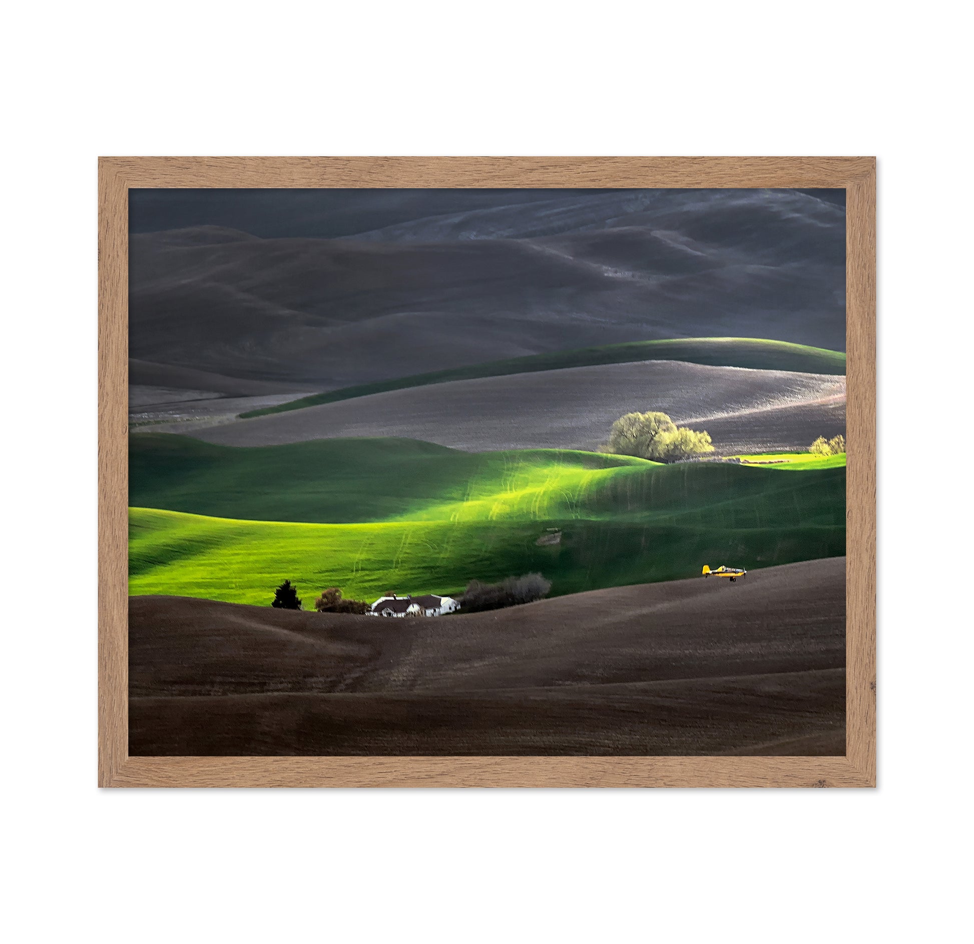 Rolling Hills of the Palouse