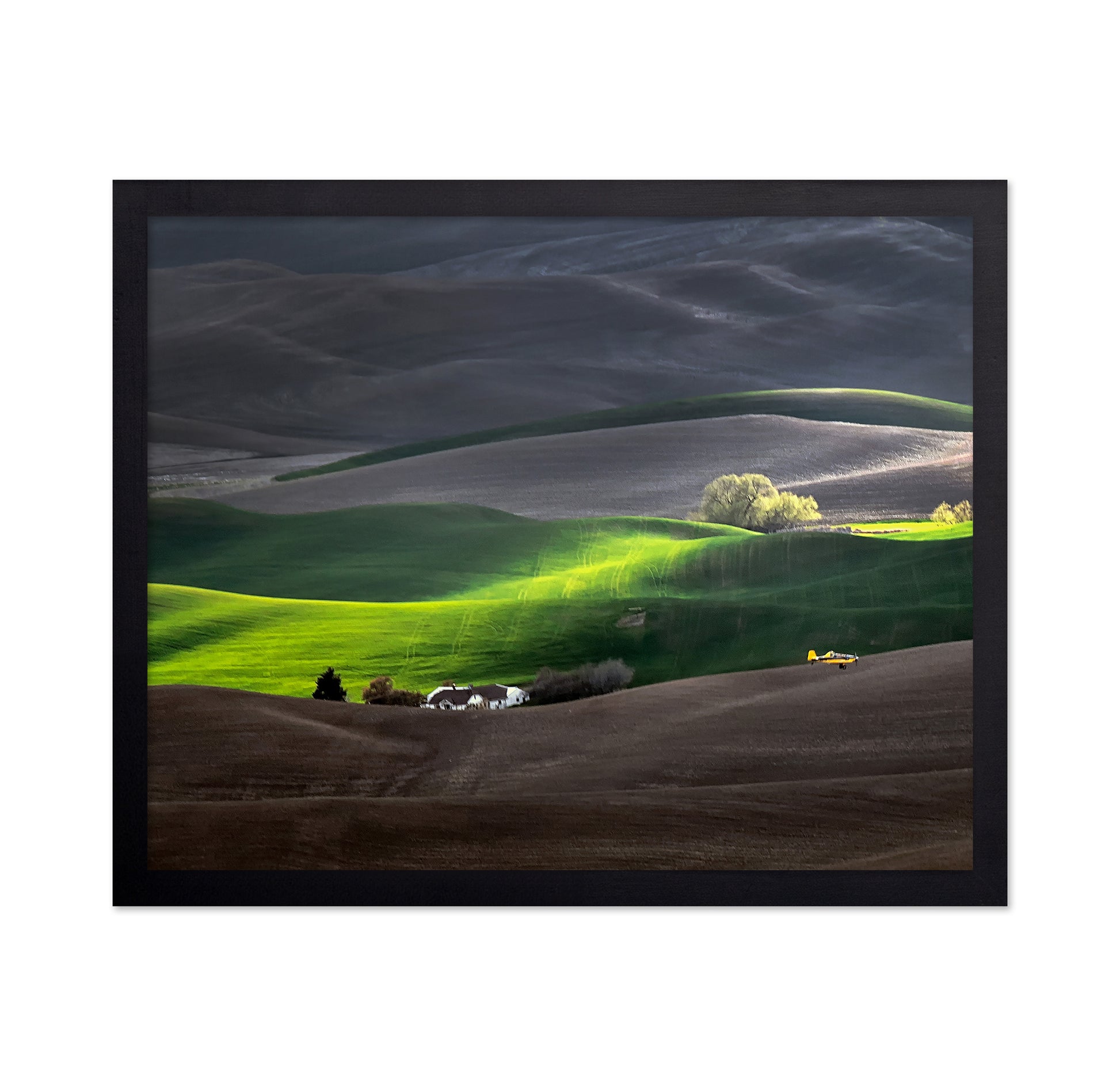 Rolling Hills of the Palouse