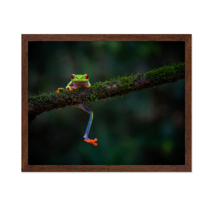 The Smile of the Rainforest