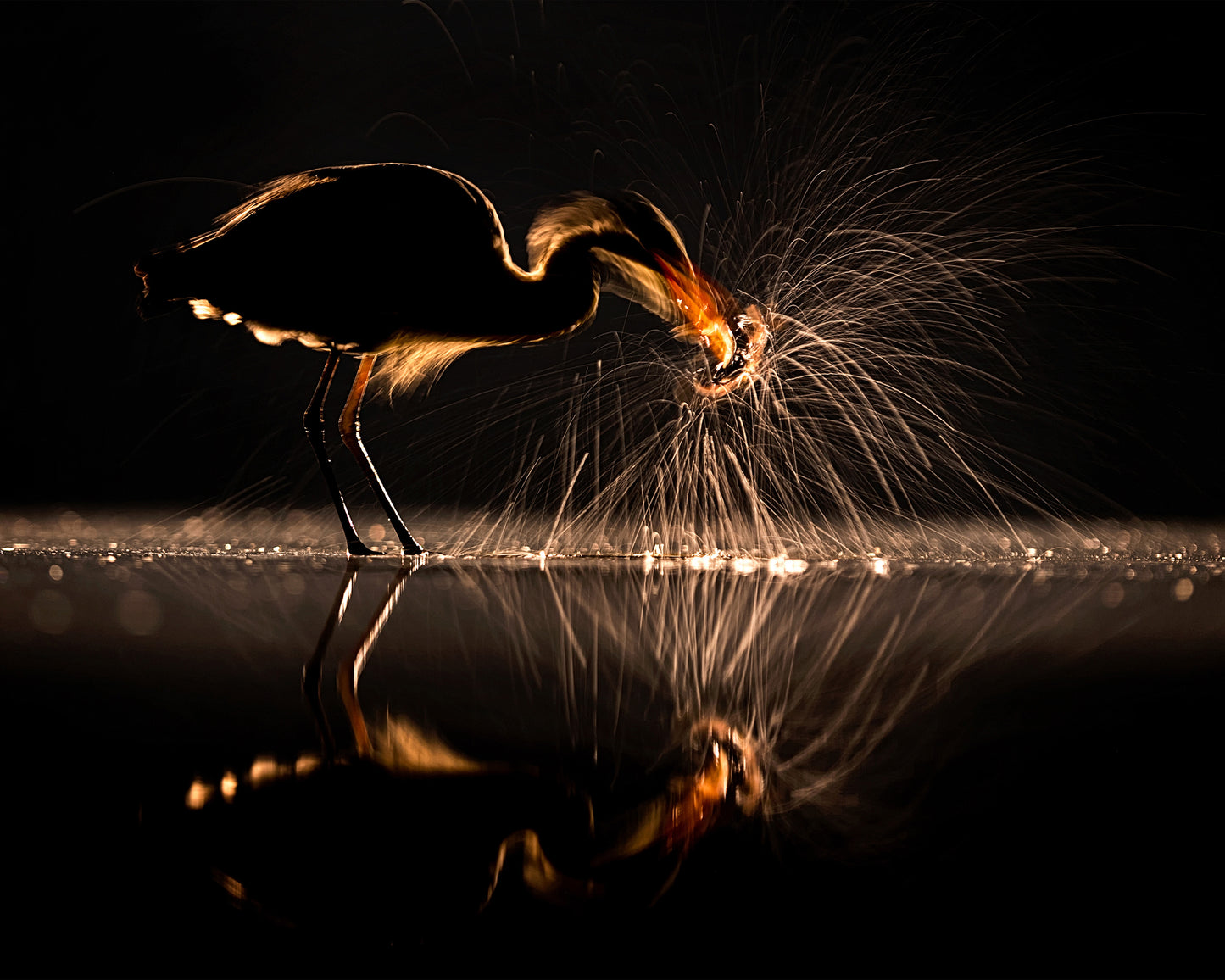 Light and Shadow