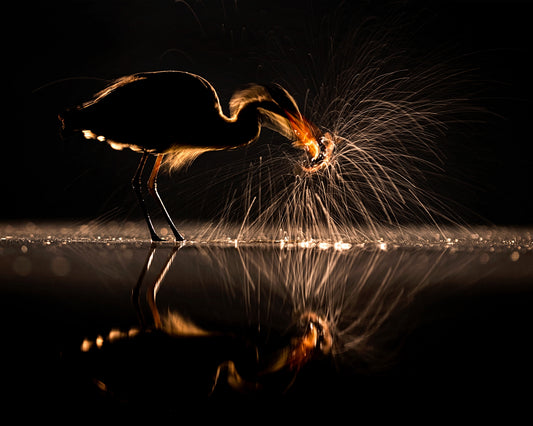 Light and Shadow