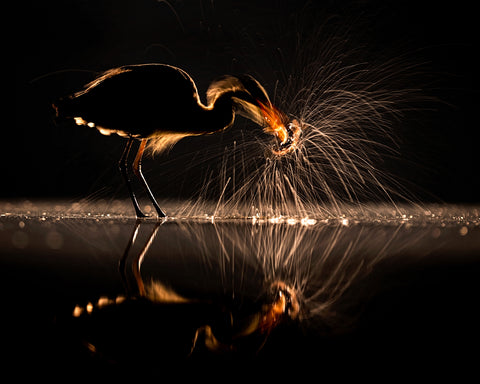 Light and Shadow