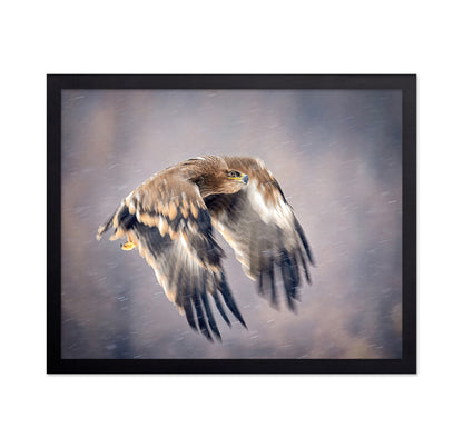 Soaring in the Snow