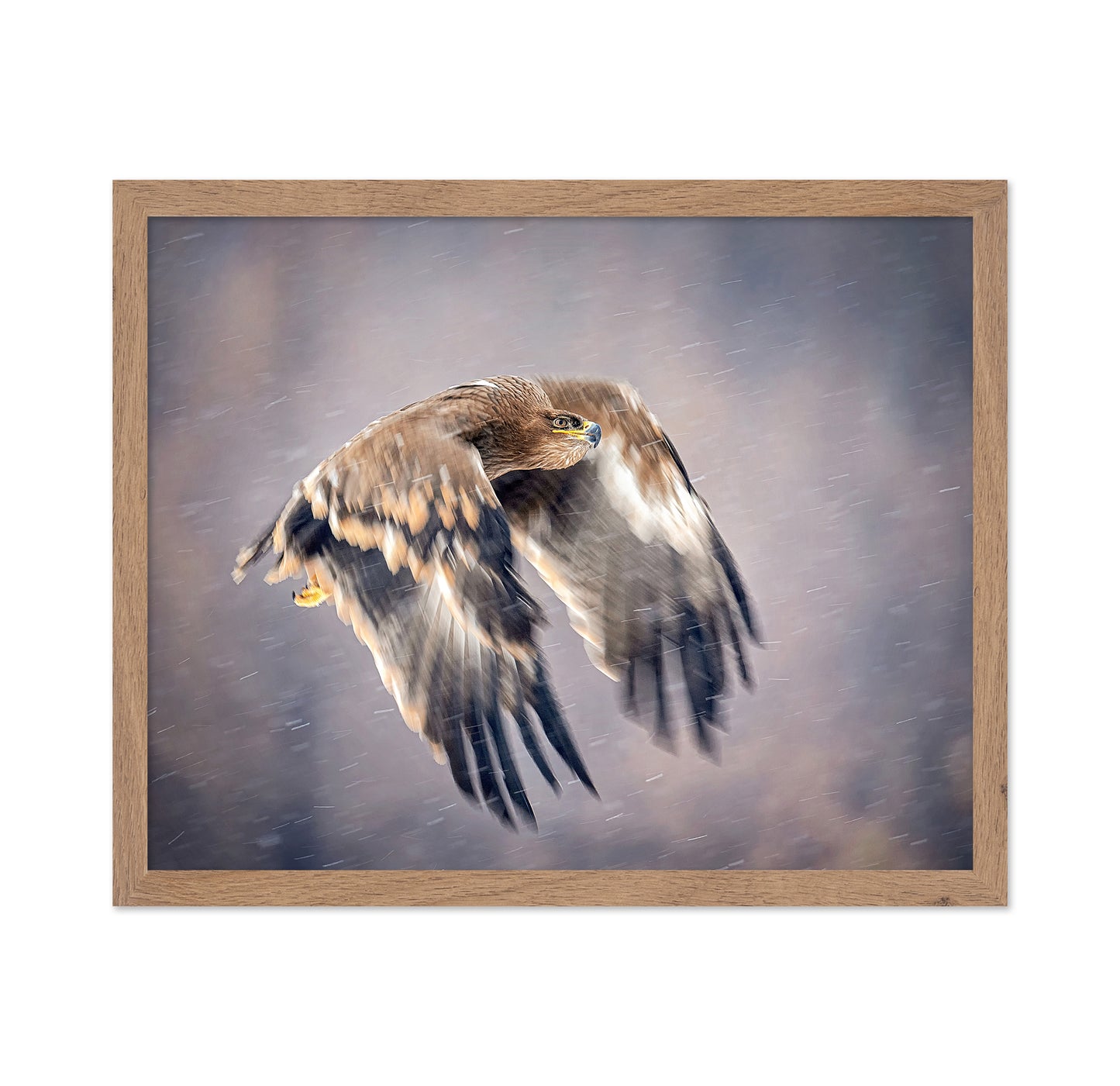 Soaring in the Snow