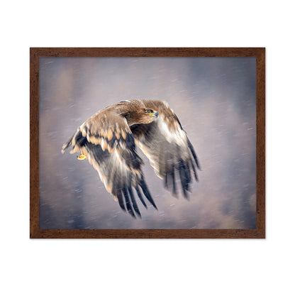 Soaring in the Snow