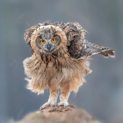 Hi There