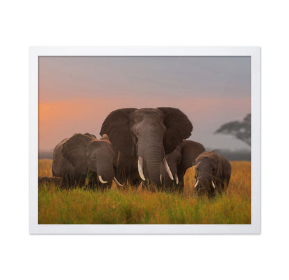 Elephant Family in Amboseli