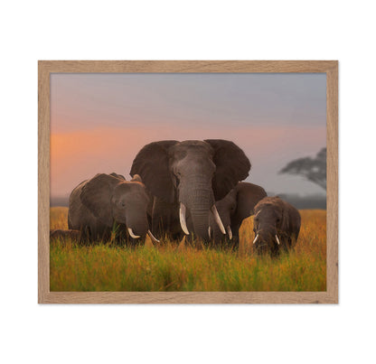 Elephant Family in Amboseli