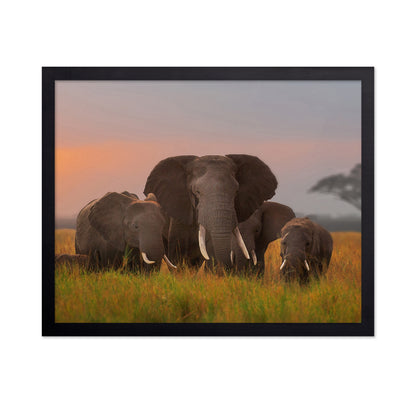 Elephant Family in Amboseli