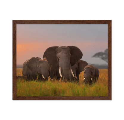 Elephant Family in Amboseli