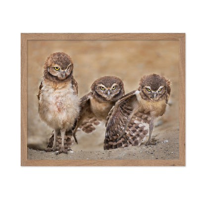Angry Babies