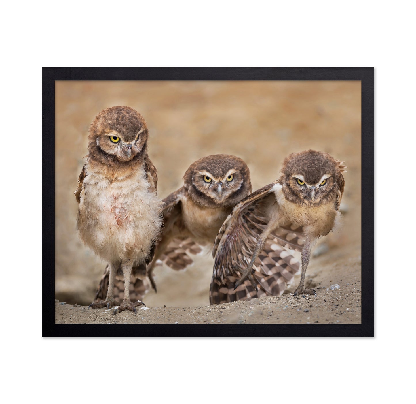 Angry Babies