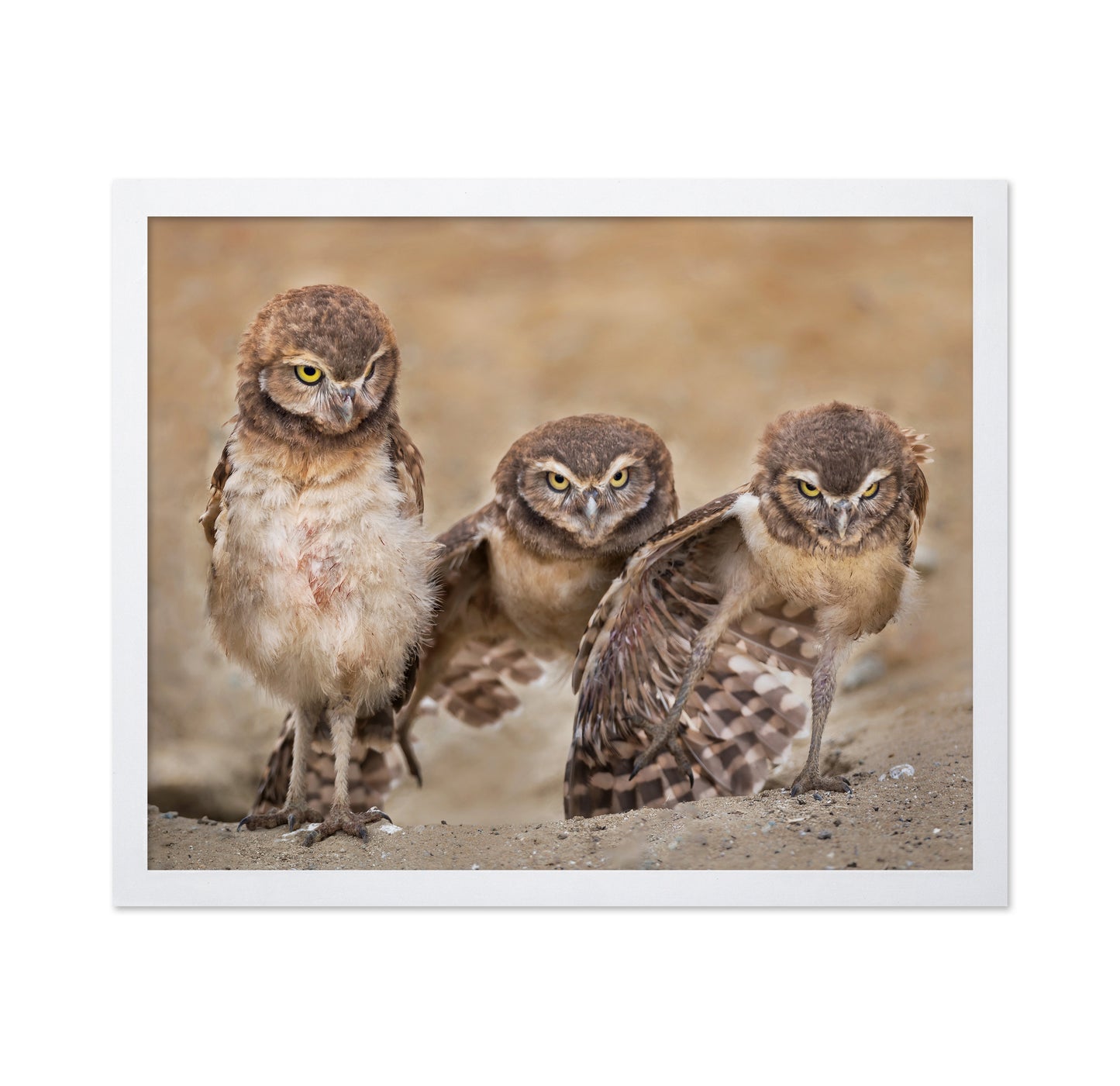 Angry Babies