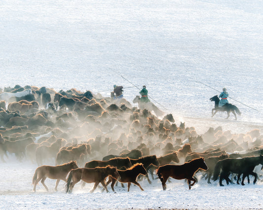 Winter Horse Taming