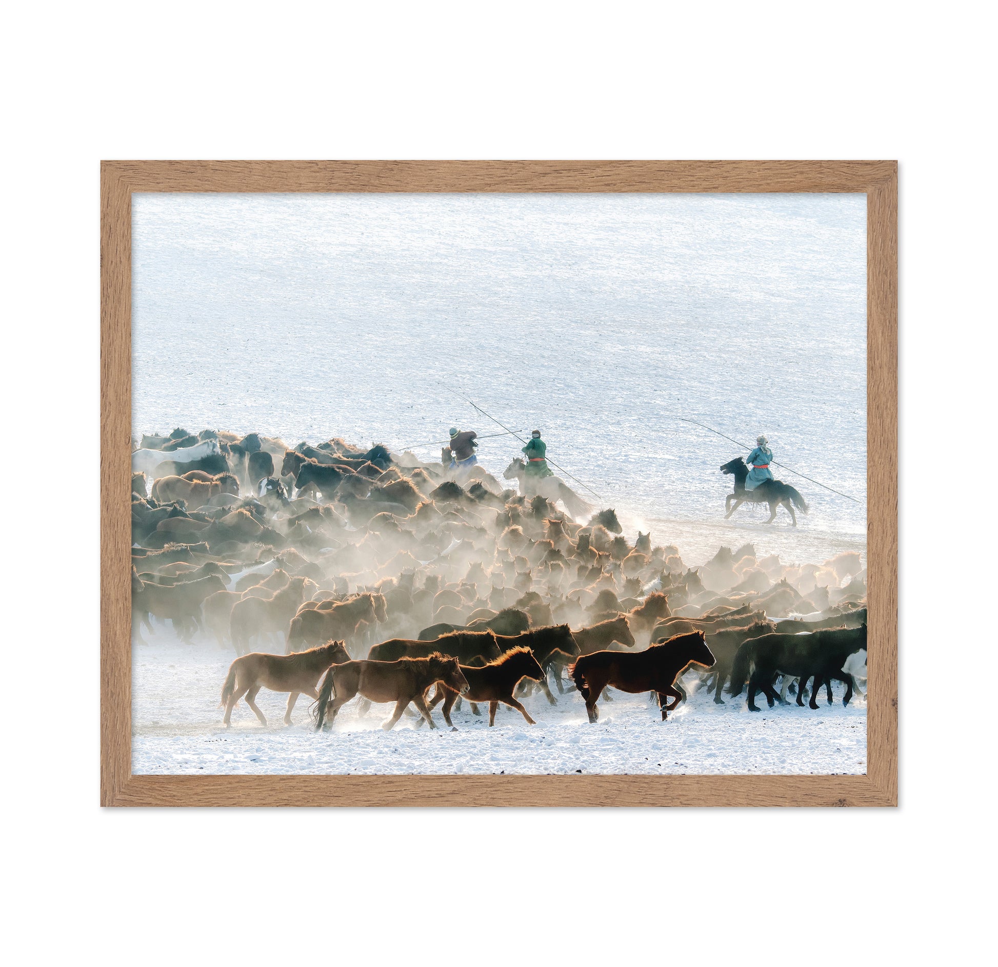 Winter Horse Taming