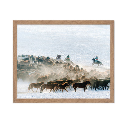 Winter Horse Taming