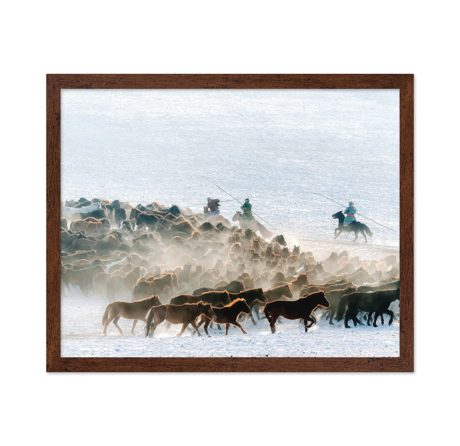 Winter Horse Taming