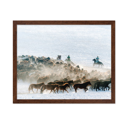 Winter Horse Taming