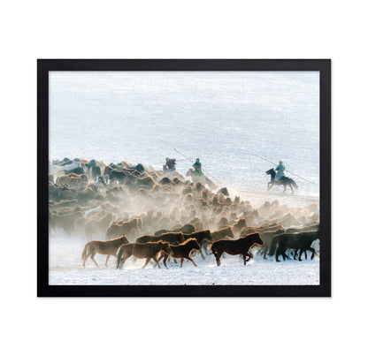 Winter Horse Taming