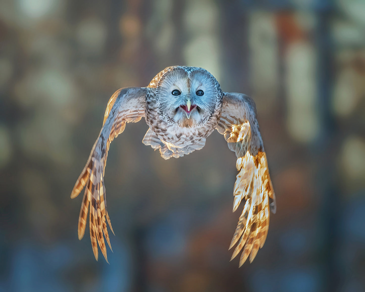 Flying to Me