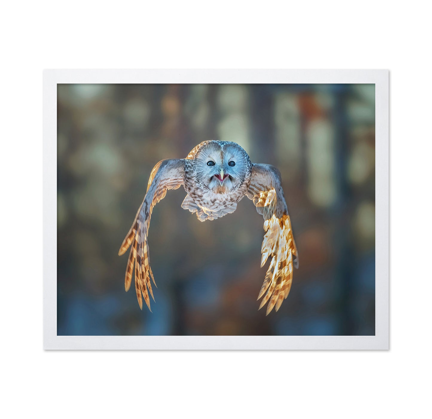 Flying to Me