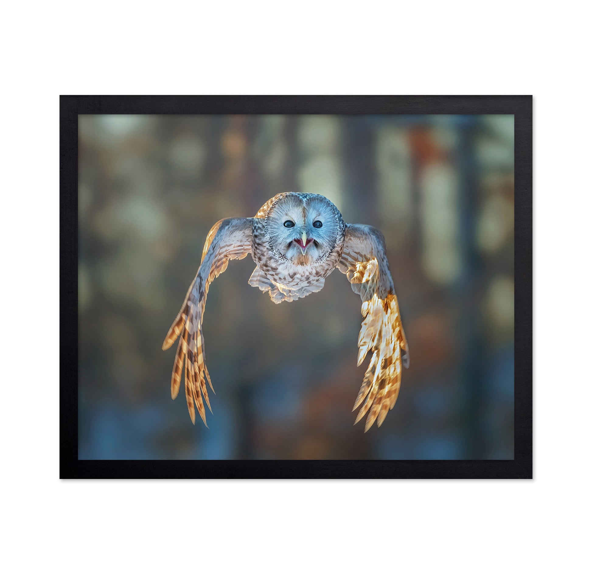 Flying to Me