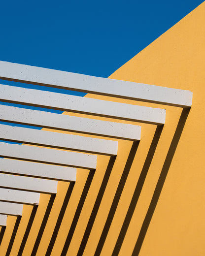 Sunny Composition
