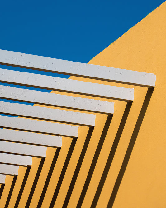 Sunny Composition