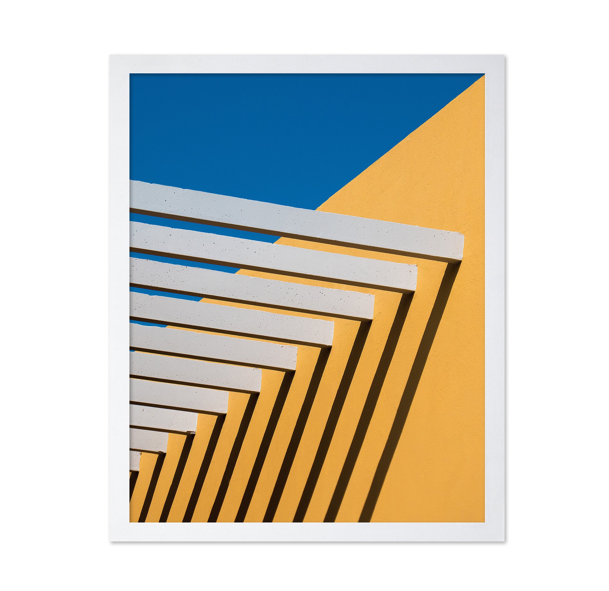 Sunny Composition