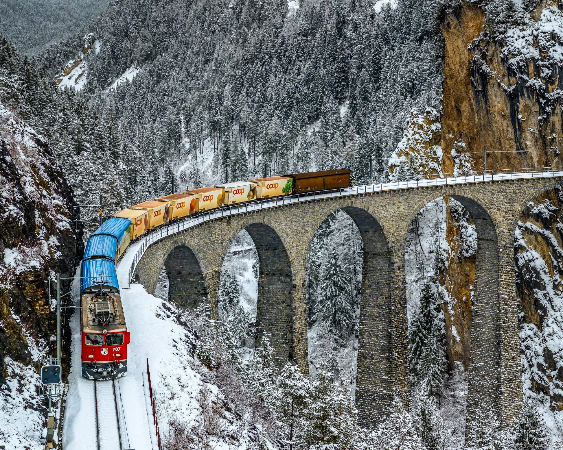 Transalpine