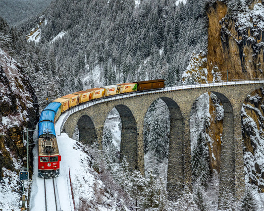 Transalpine