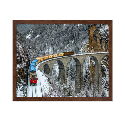 Transalpine